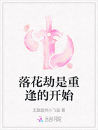 落花劫是重逢的开始在线阅读