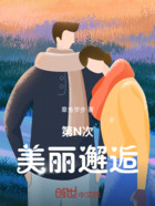 第N次美丽邂逅在线阅读