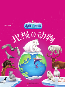 南極北極：北極的動物