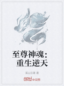 至尊神魂:重生逆天