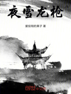 夜雪龙枪在线阅读