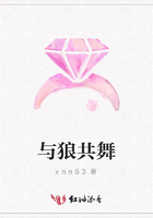 与狼共舞在线阅读