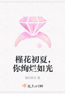 槿花初夏，你絢爛如光