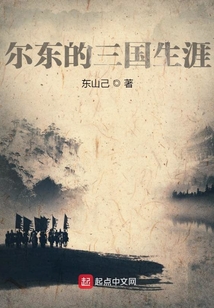 尔东的三国生涯