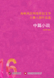 海峡两岸网络原创文学大赛入围作品选(16)中篇小说