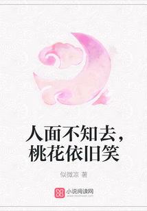 人面不知去，桃花依舊笑