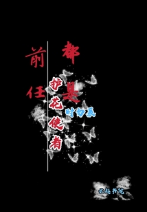前任都是护花使者