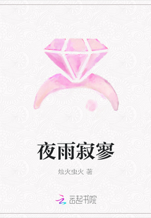 夜雨寂寥