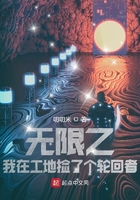 无限之我在工地捡了个轮回者在线阅读