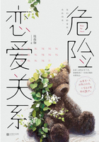 危險戀愛關系在線閱讀