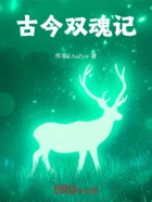 古今双魂记在线阅读