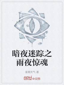 暗夜迷蹤之雨夜驚魂