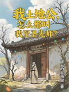 我土地公,怎么都叫我至圣先师?在线阅读