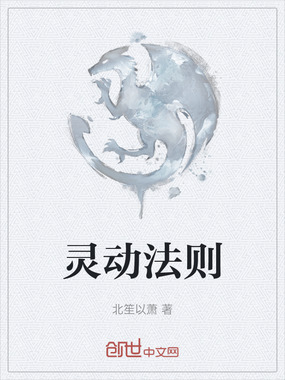 灵动法则在线阅读