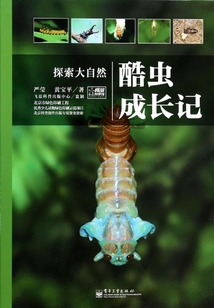 酷蟲成長(zhǎng)記