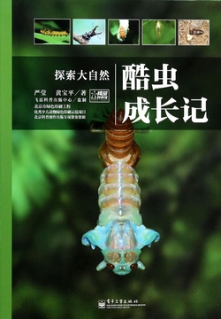 酷虫成长记 封面