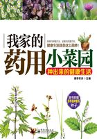 我家的药用小菜园