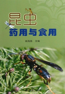 昆蟲藥用與食用