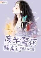 廢柴美妞翻身記在線閱讀