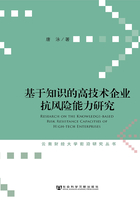 基于知识的高技术企业抗风险能力研究（云南财经大学前沿研究丛书）在线阅读