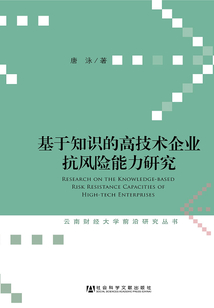 基于知識的高技術企業抗風險能力研究（云南財經大學前沿研究叢書）