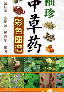袖珍中草藥彩色圖譜