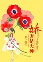 絕版蜜愛：嬌妻是大神在線閱讀