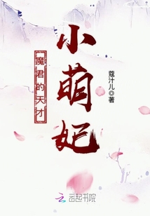 魔君的天才小萌妃