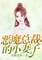 恶魔总裁的小妻子
