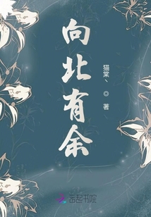 向北有余