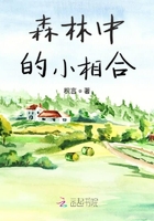 森林中的小相合在線閱讀