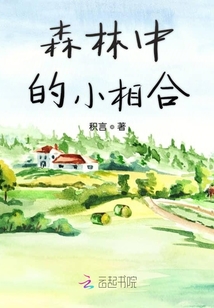 森林中的小相合