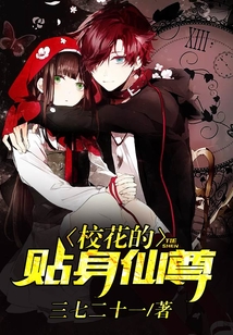 校花的貼身仙尊