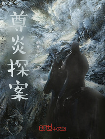 尊炎探案