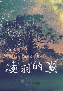 凌羽的翼