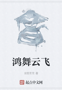 鴻舞云飛