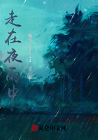 走在夜雨中在线阅读