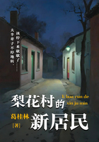 梨花村的新居民在线阅读