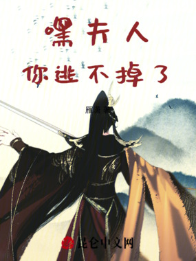 嘿夫人，你逃不掉了在线阅读
