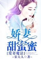 愛(ài)妻魔法：嬌妻甜蜜蜜在線(xiàn)閱讀