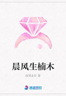 晨风生楠木