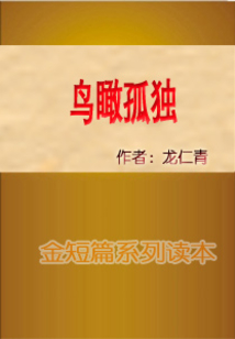 鳥瞰孤獨