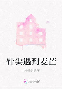 針尖遇到麥芒