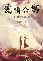 爱情公寓开始的咸鱼