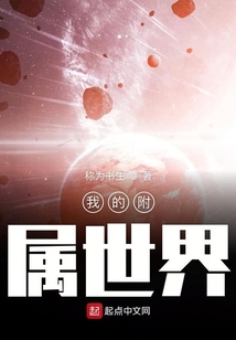 我的附屬世界