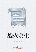戰火余生在線閱讀