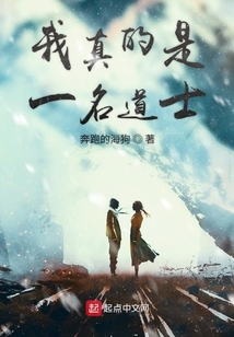 我真的是一名道士