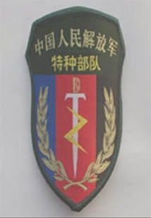 你的青春我的軍營