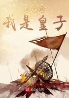 我不信我是皇子