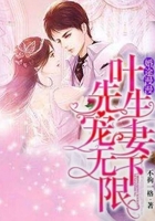 婚途漫漫：叶先生宠妻无下限在线阅读